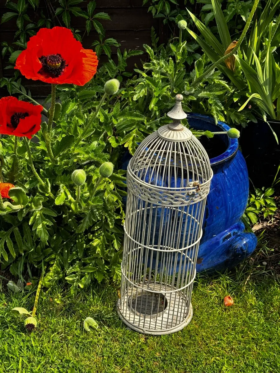 Ornate Bird cage - Image 1