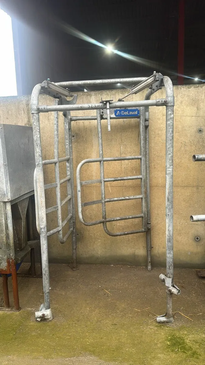 Delaval Robotic Milkers - Image 3
