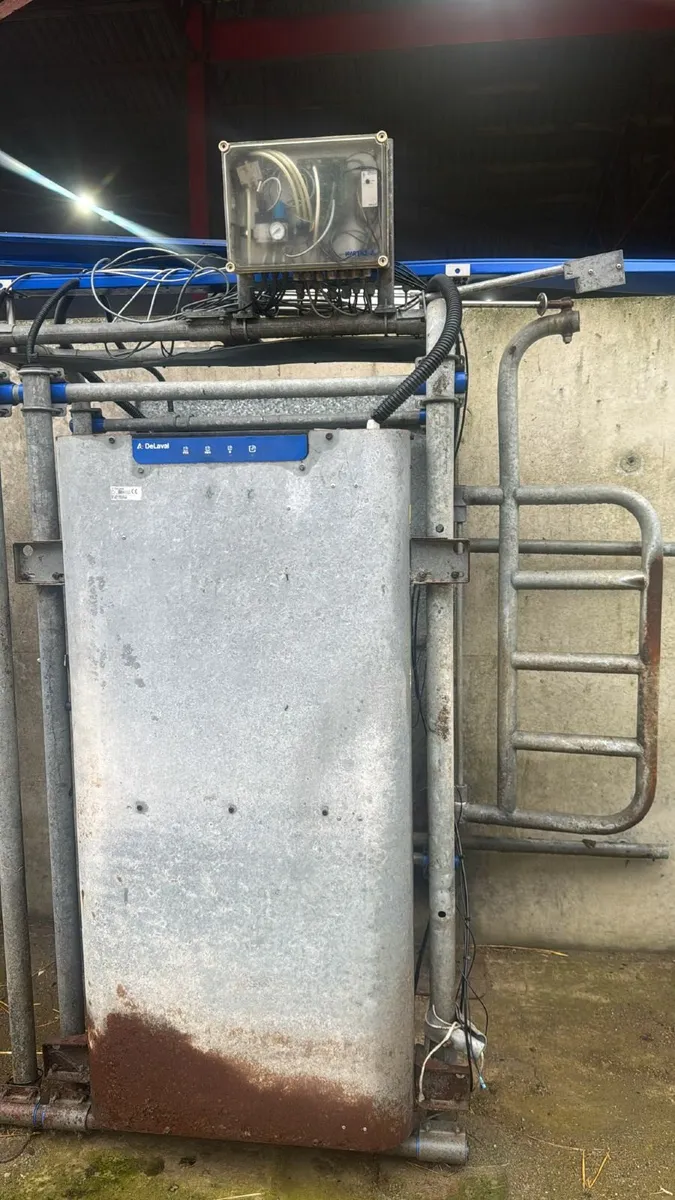 Delaval Robotic Milkers - Image 4