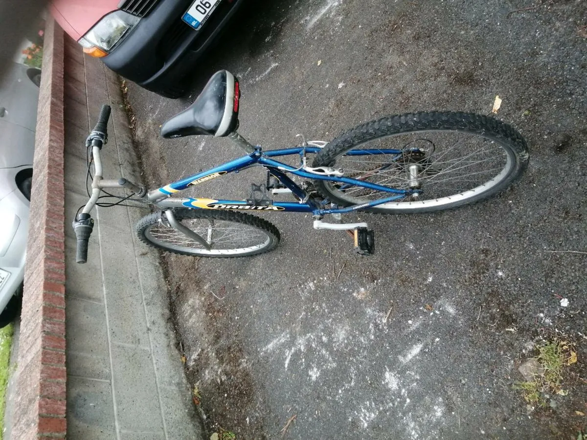 Mountain bike - Image 1