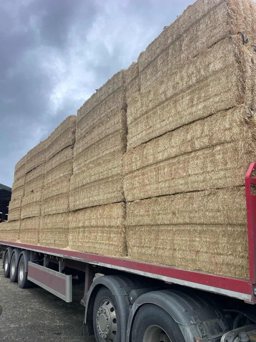 Chopped straw - Image 1