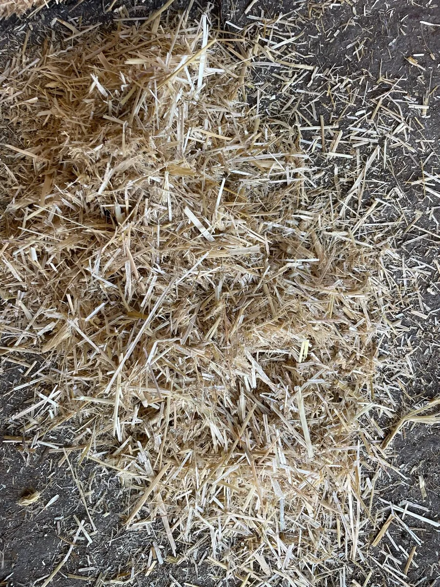 Chopped straw - Image 3