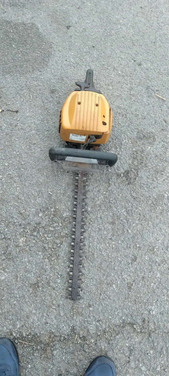 McCullough hedge strummers running well priced - Image 4