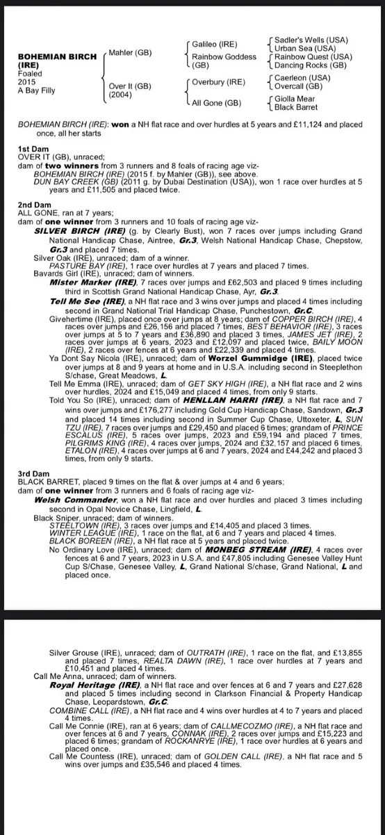 Winning Mahler Broodmare - Image 2