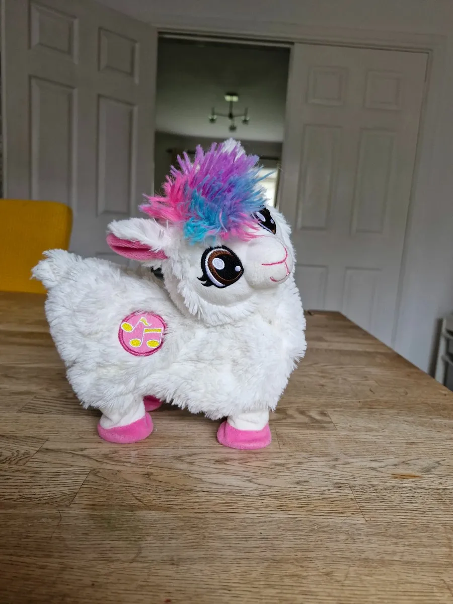 Boppi the dancing lama