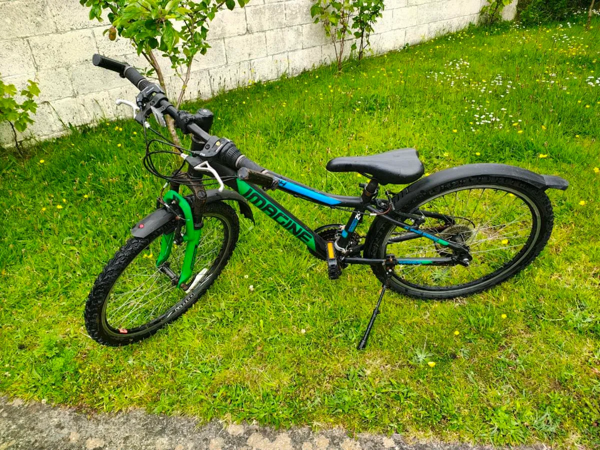 24' mountain bike