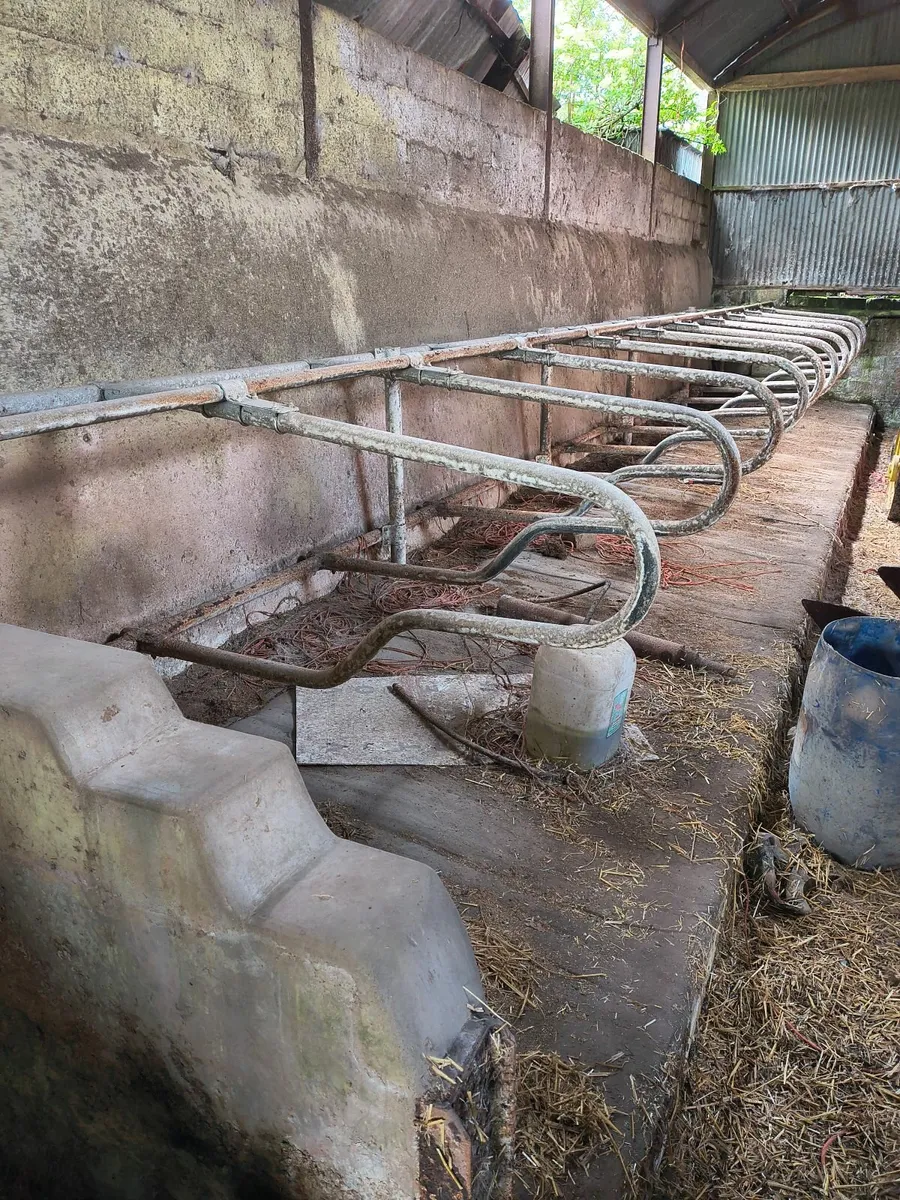 Cubicles - Image 1