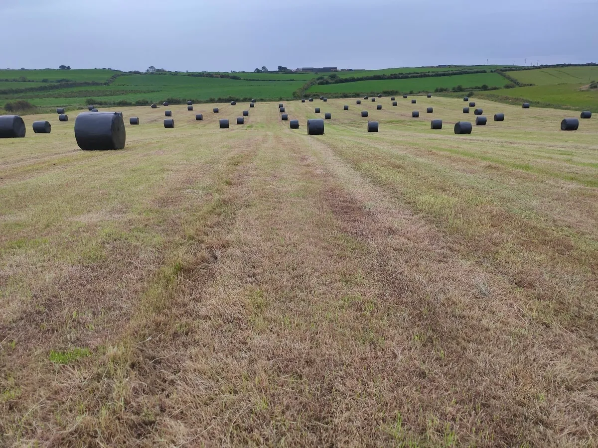 ROUND  BALES  OF  SILAGE/HAYLAGE
