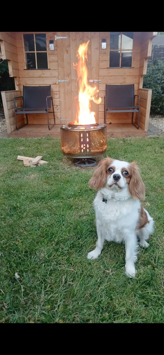 Fire Pit - Image 3