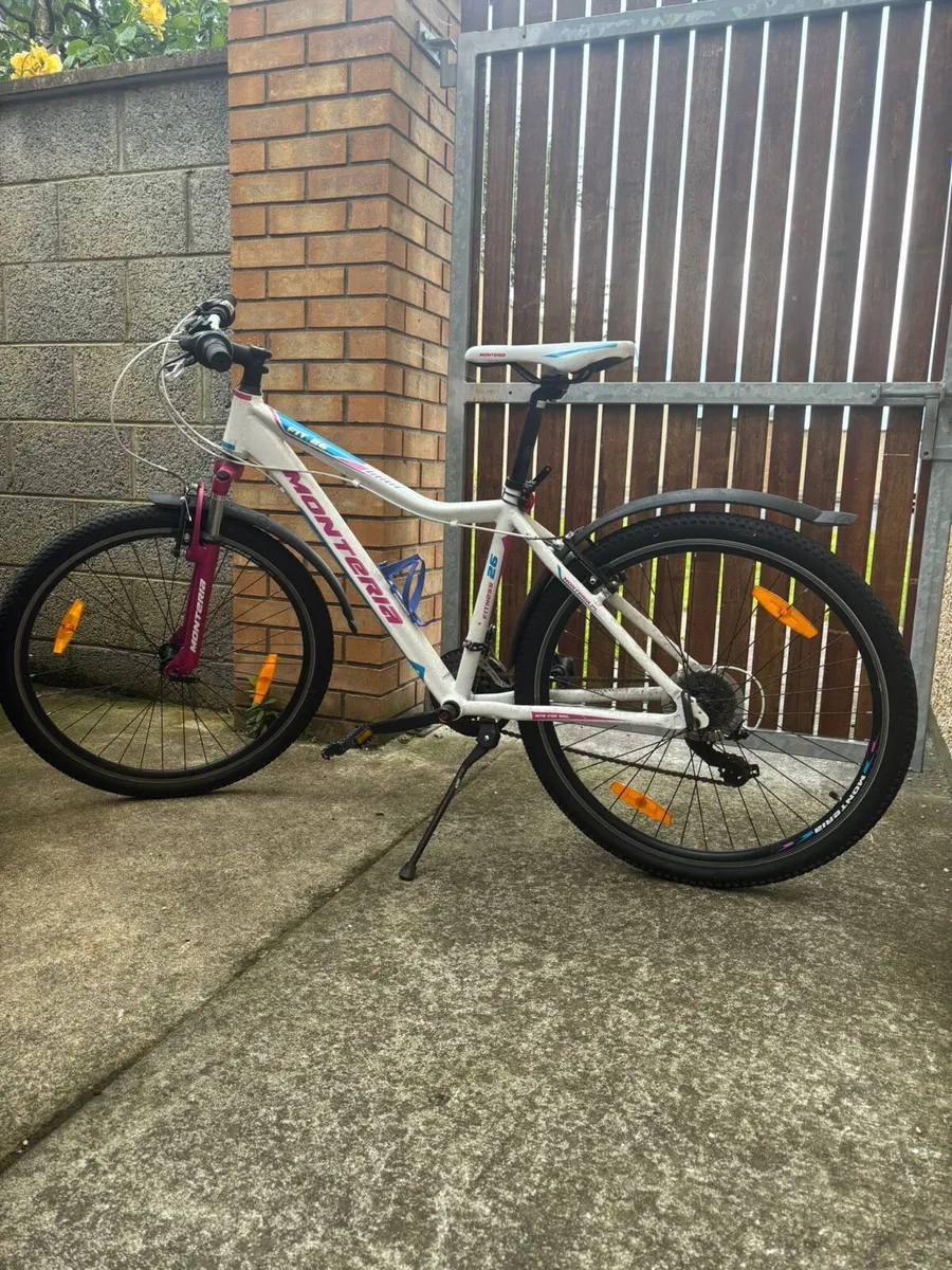 Girls Mountain Bike (Great Condition) - Image 2
