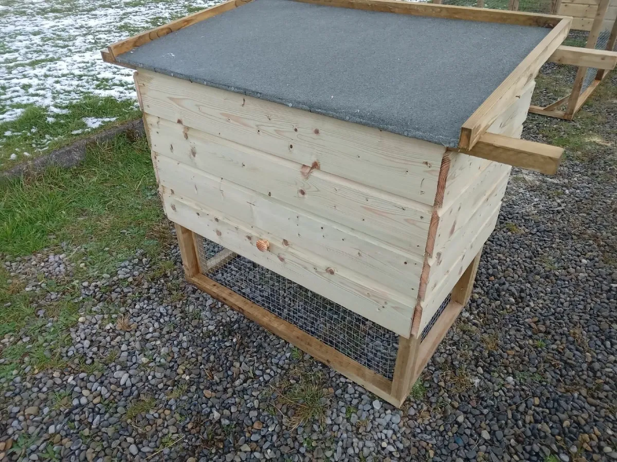 Basic Chicken Coop - 💥Nationwide Delivery💥 - Image 4
