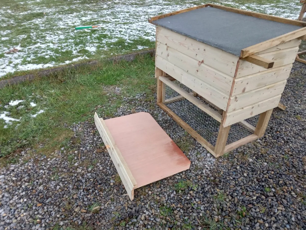 Chicken Coop and Run - 💥Nationwide Delivery💥 - Image 3
