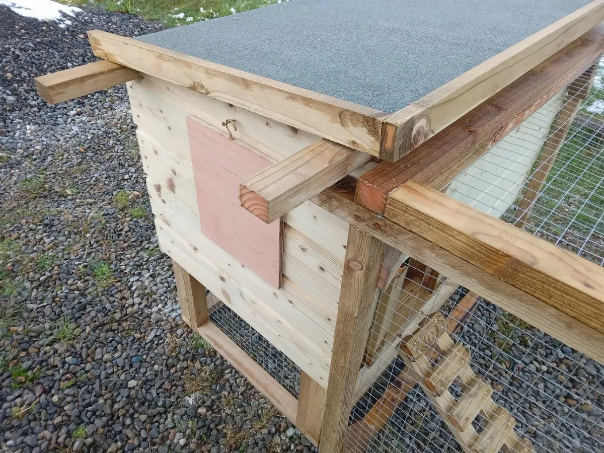 Chicken Coop and Run - 💥Nationwide Delivery💥 - Image 4