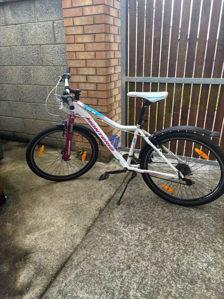 Girls Mountain Bike (Great Condition) - Image 1