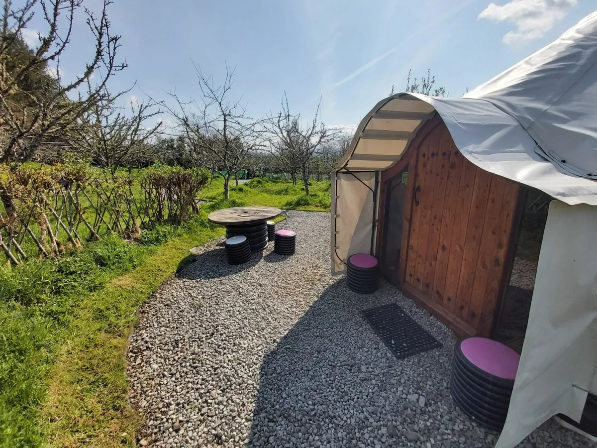 6 Metre Ireland made Yurt - Image 3