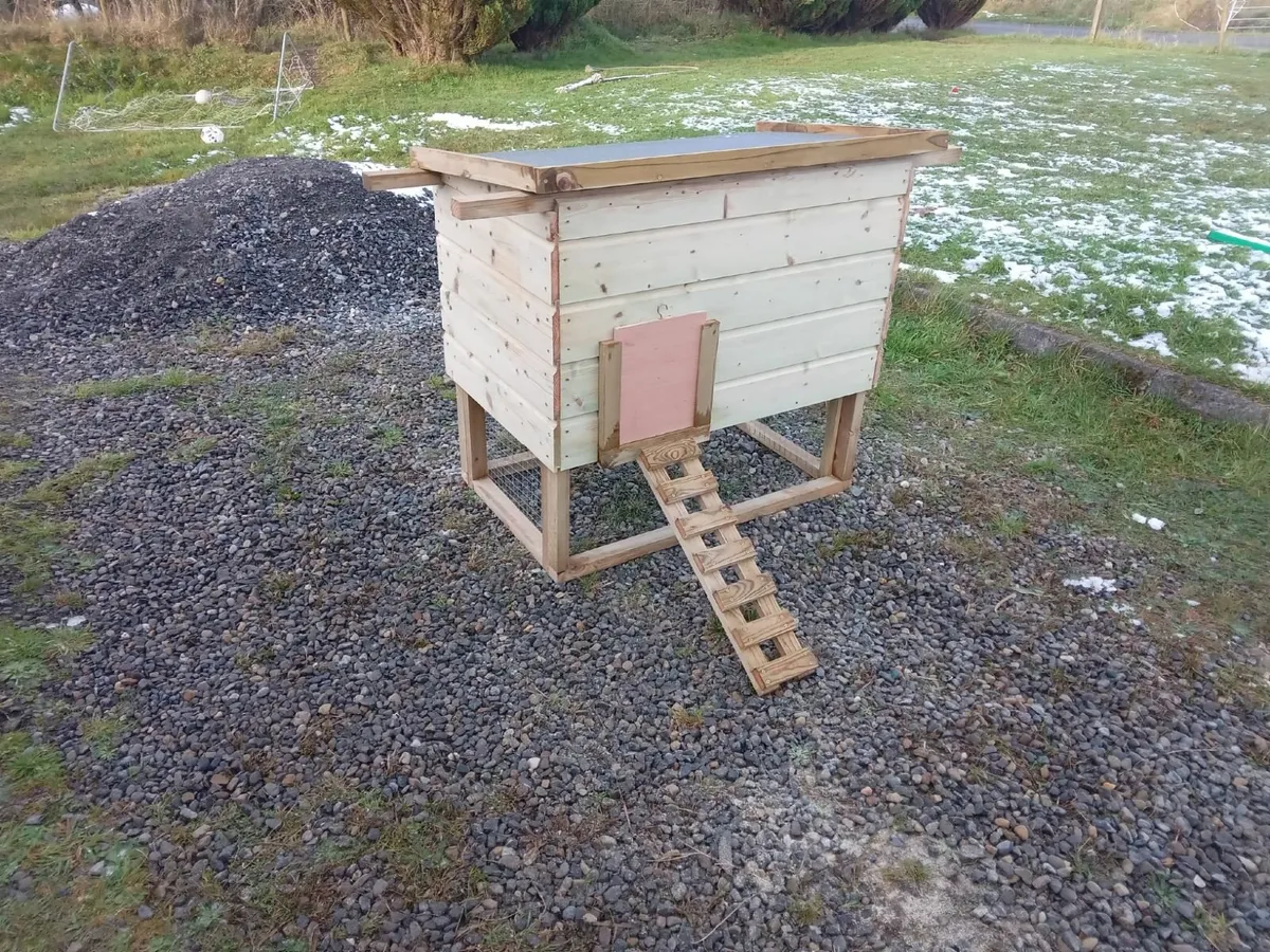 Basic Chicken Coop - 💥Nationwide Delivery💥 - Image 3