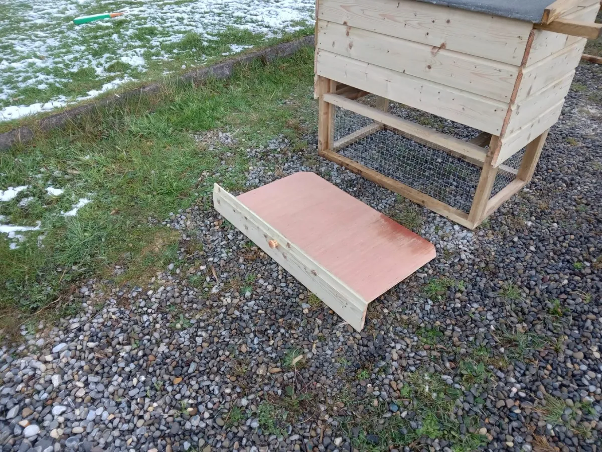 Basic Chicken Coop - 💥Nationwide Delivery💥 - Image 4