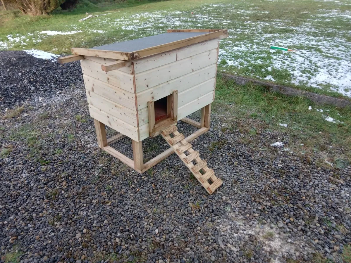 Basic Chicken Coop - 💥Nationwide Delivery💥 - Image 1