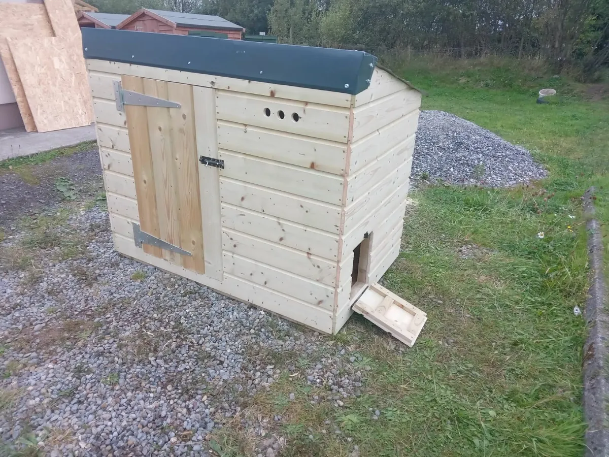 Chicken Coops - 💥Nationwide Delivery💥 - Image 1