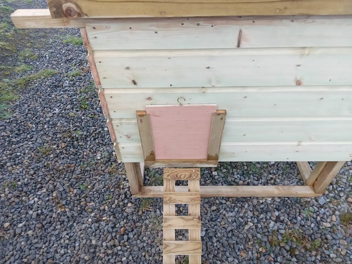 Chicken Coop and Run - 💥Nationwide Delivery💥 - Image 2