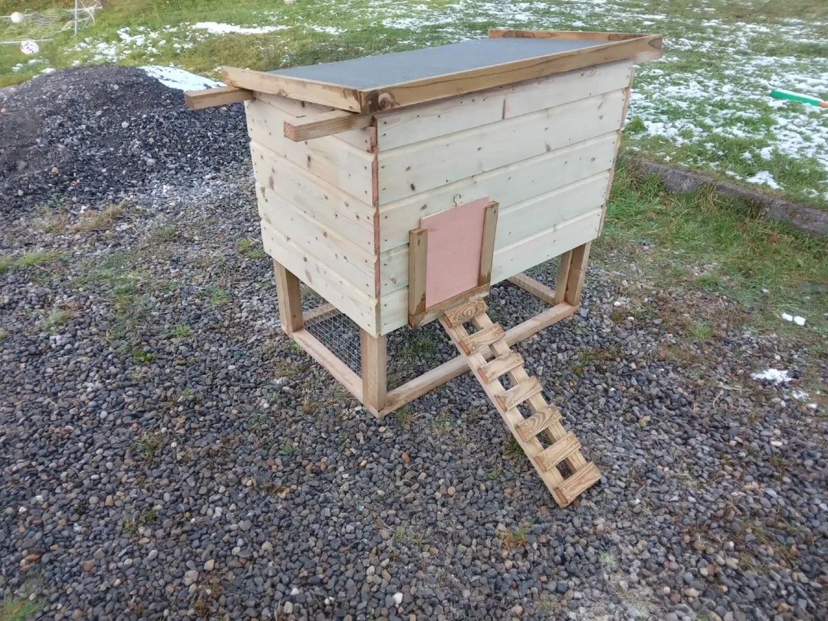 Chicken Coop and Run - 💥Nationwide Delivery💥 - Image 4