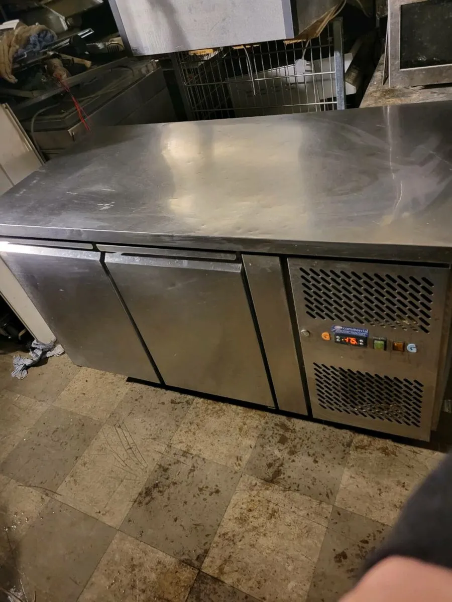 Freezer Counter Freezer Double Doors - Image 3