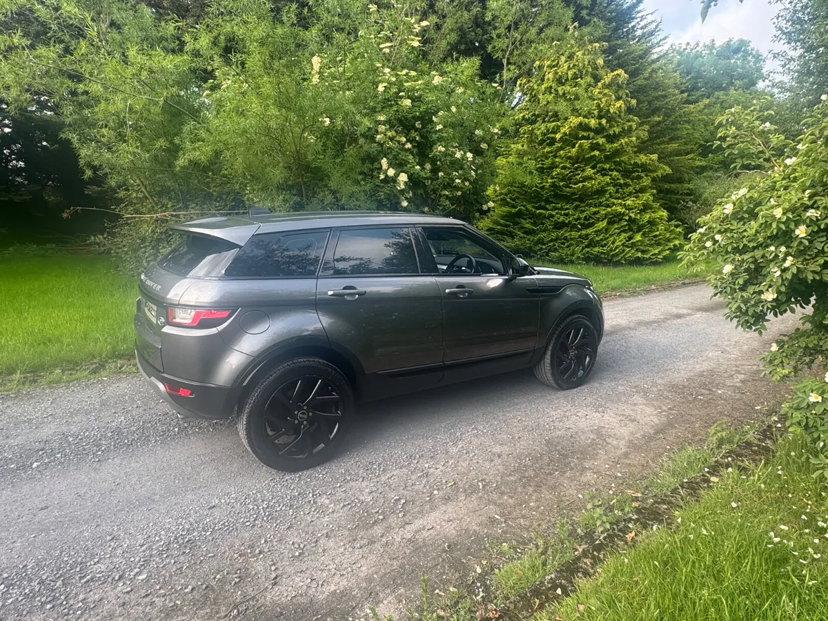 17 Land Rover Range Rover Evoque 2.0D4 - Image 3