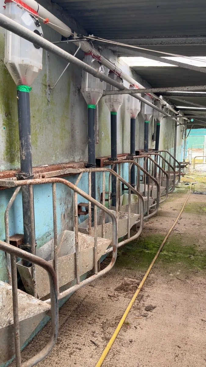 Feeder for milking parlour - Image 2