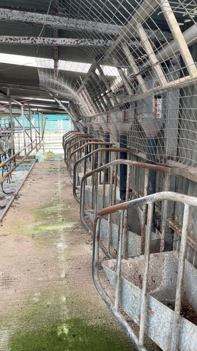 Feeder for milking parlour - Image 3