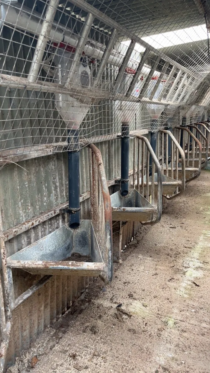 Feeder for milking parlour - Image 4