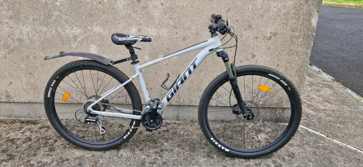 Mountain bike - Image 1
