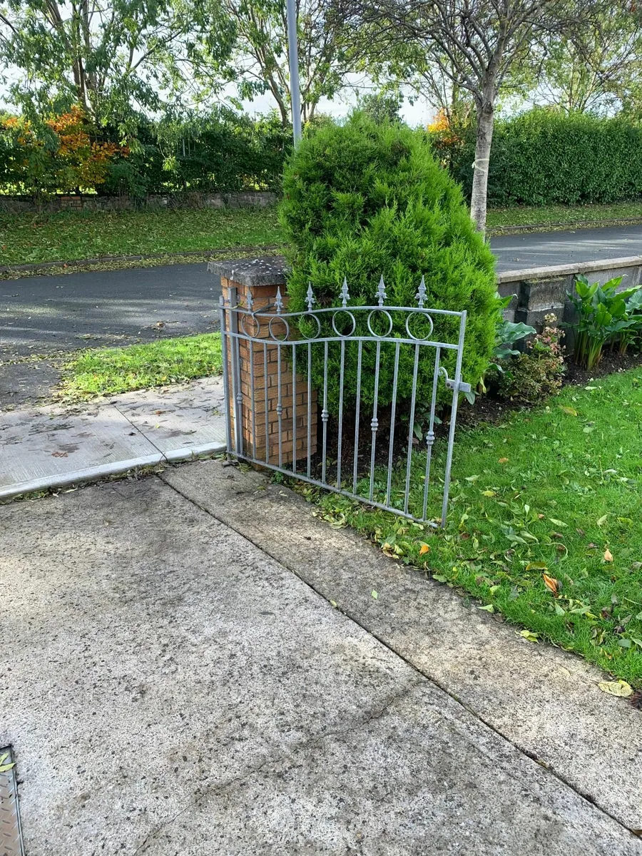 Galvanised Double Garden Gates - Image 3