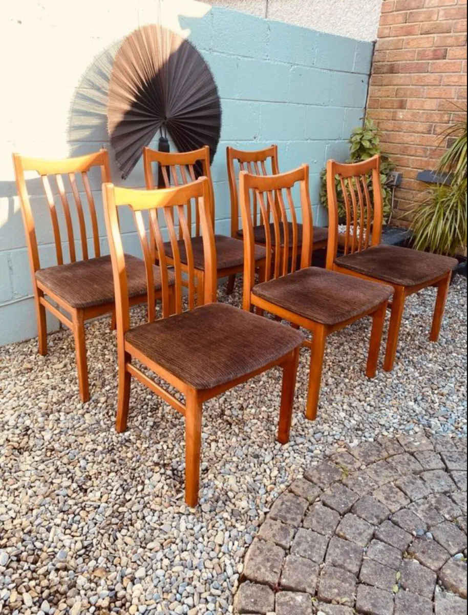 Mid Century Dining Chairs x 6 - Image 1