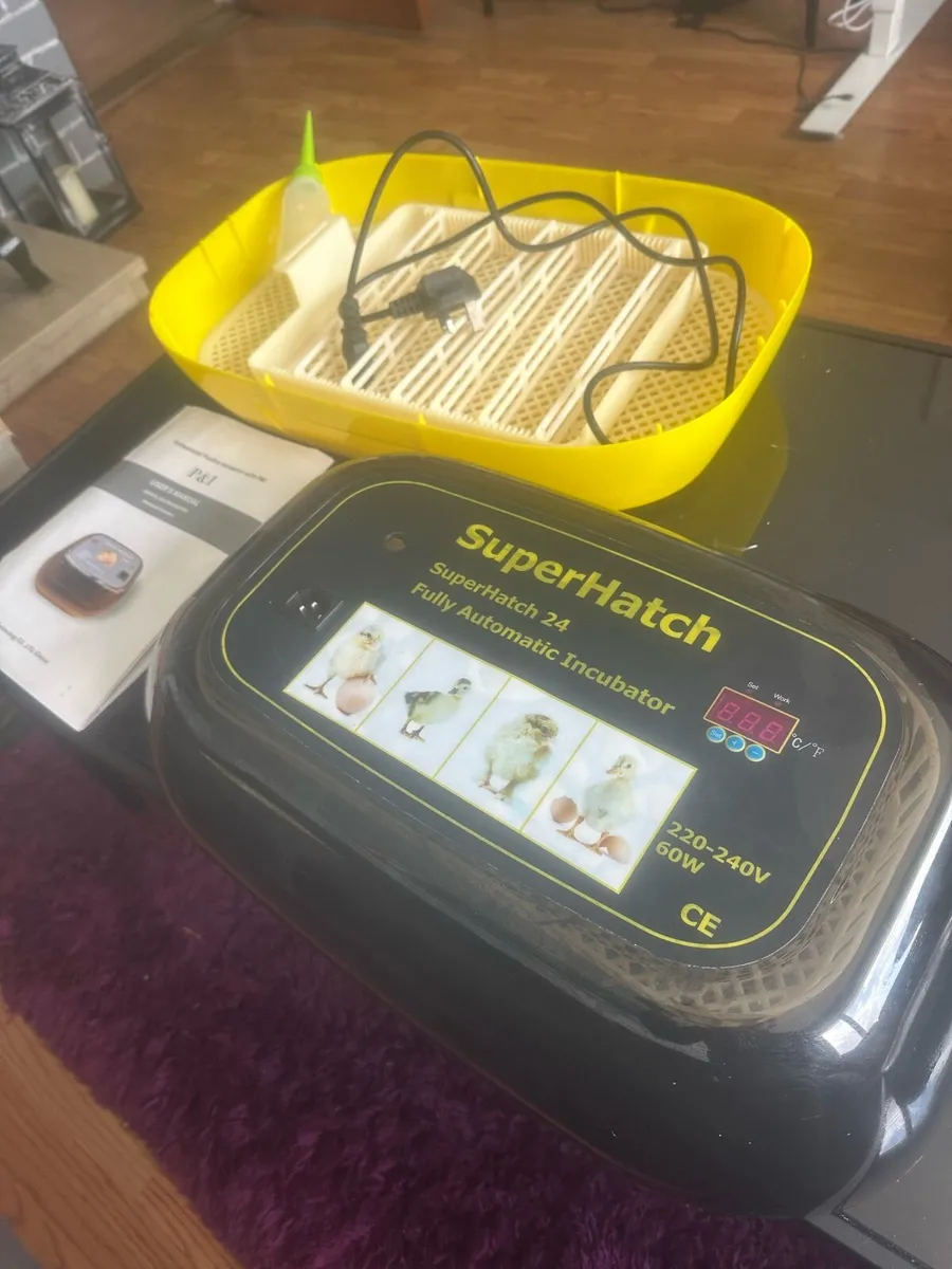 Egg Incubator For sale - Image 2