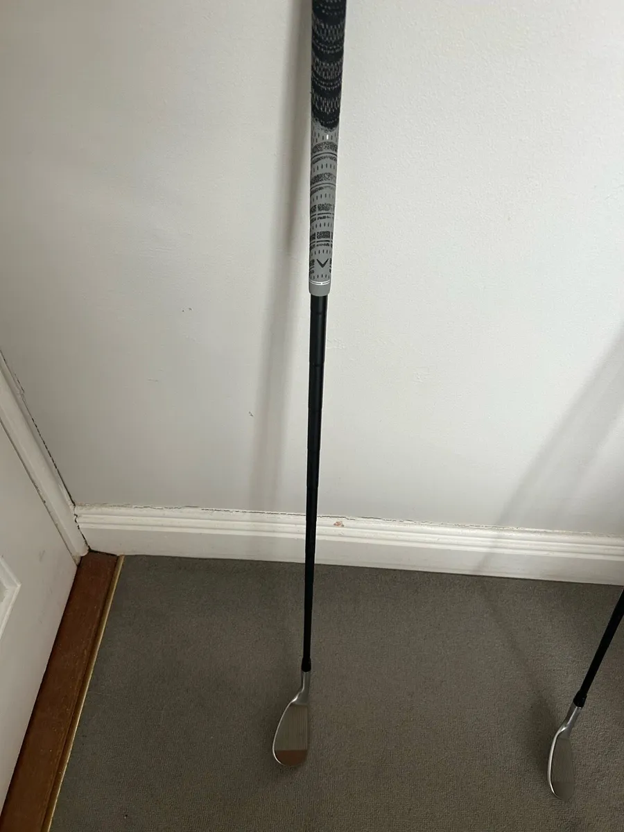 Opus 56 platinum wedge - Image 1