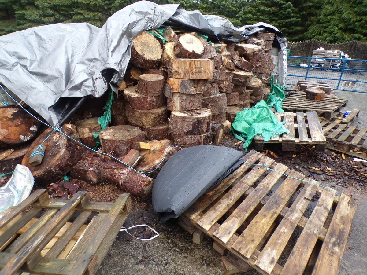timber - Image 2