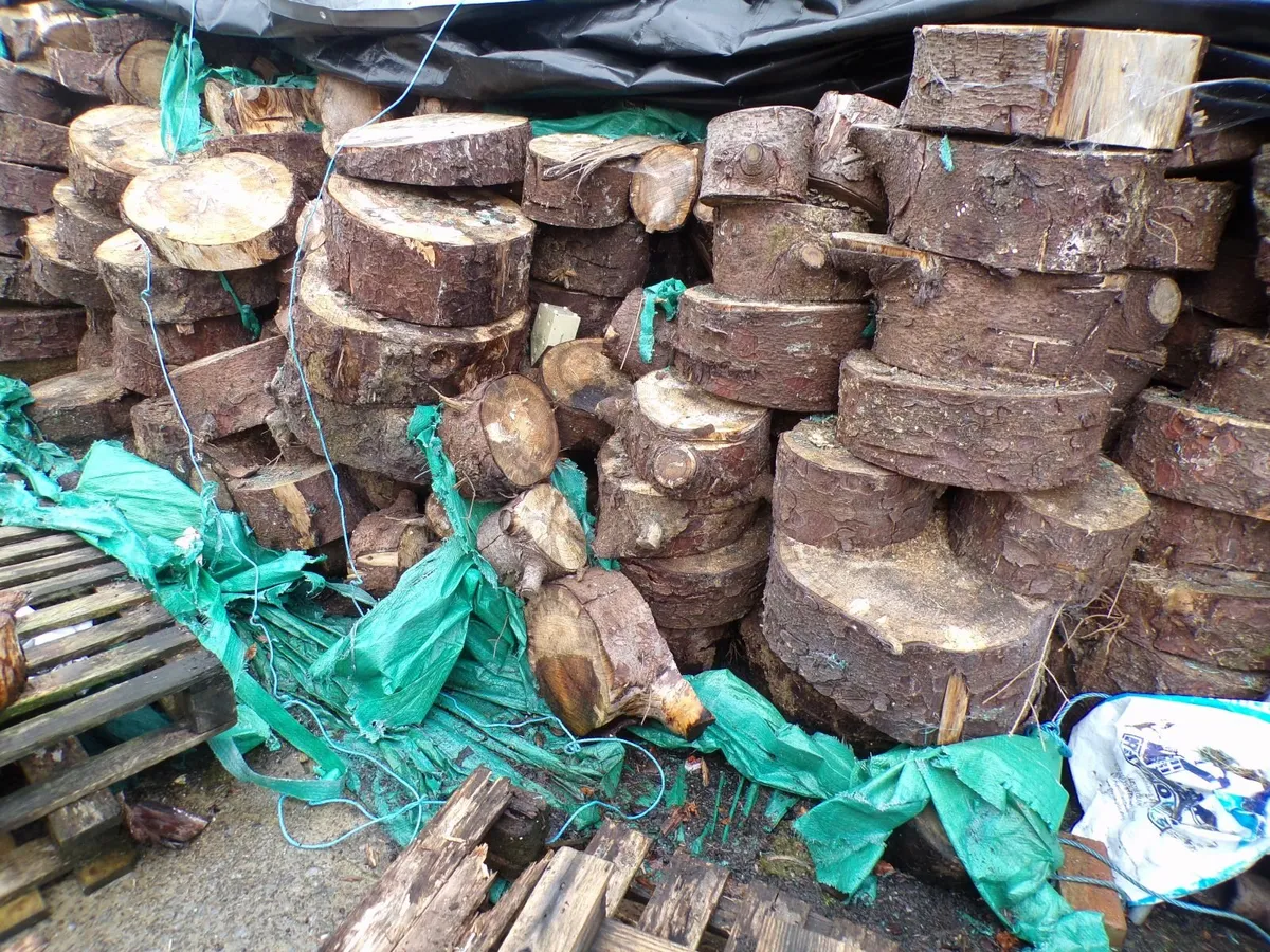 timber - Image 3