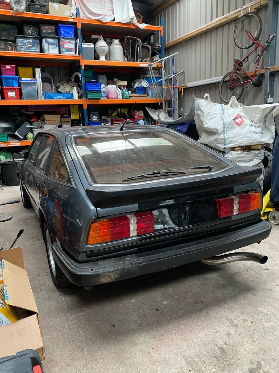 Rover SD1 Vandenplas - Image 3