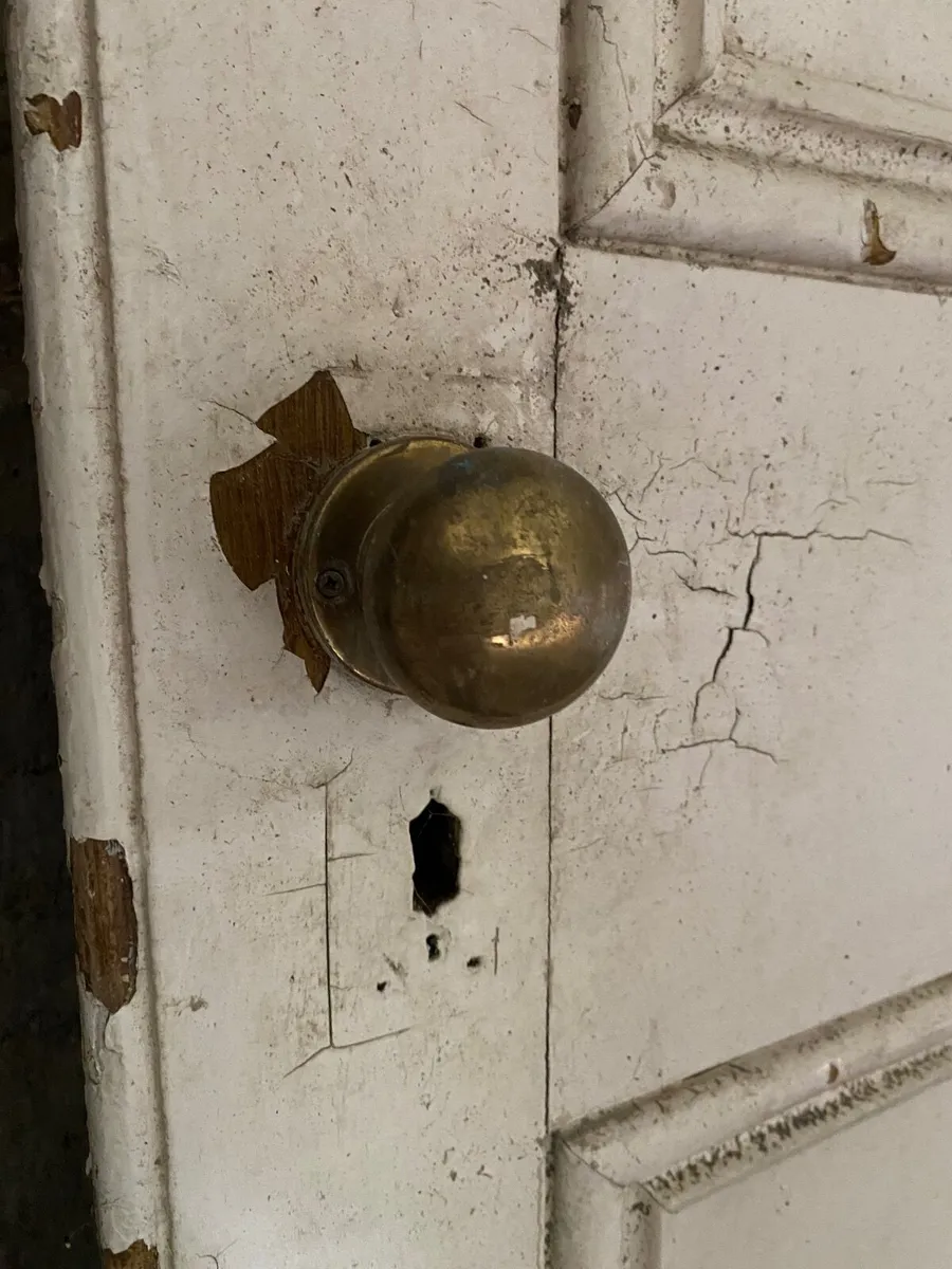 Set of Georgian Communicating Doors - Image 4