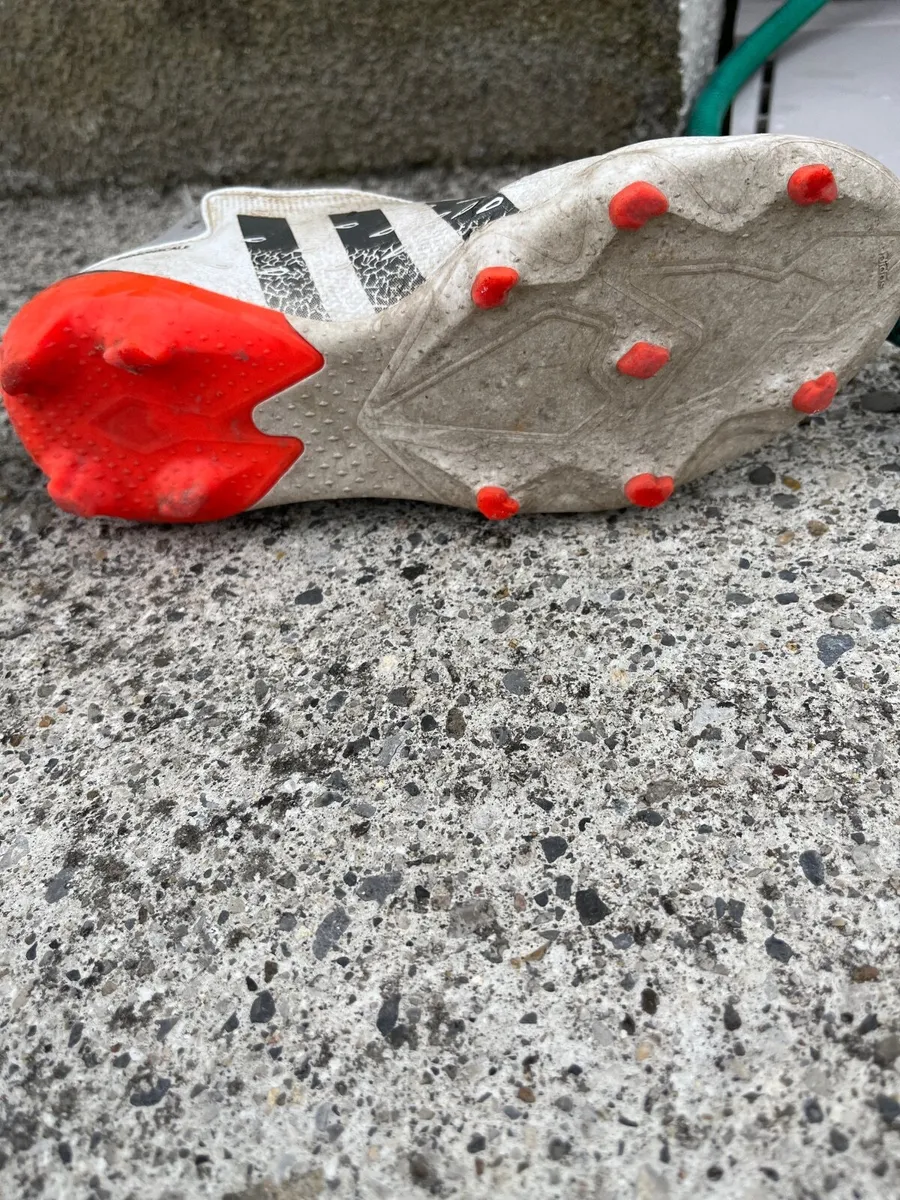 Predators 19 - Image 2