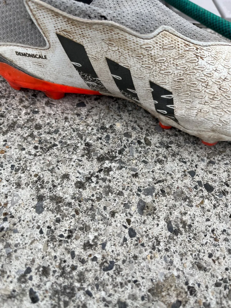 Predators 19 - Image 4