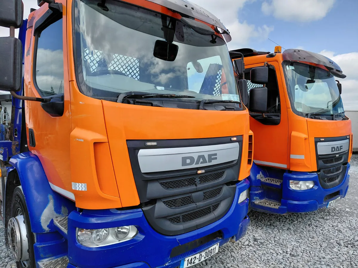 DAF LF Skip Loader - Image 2
