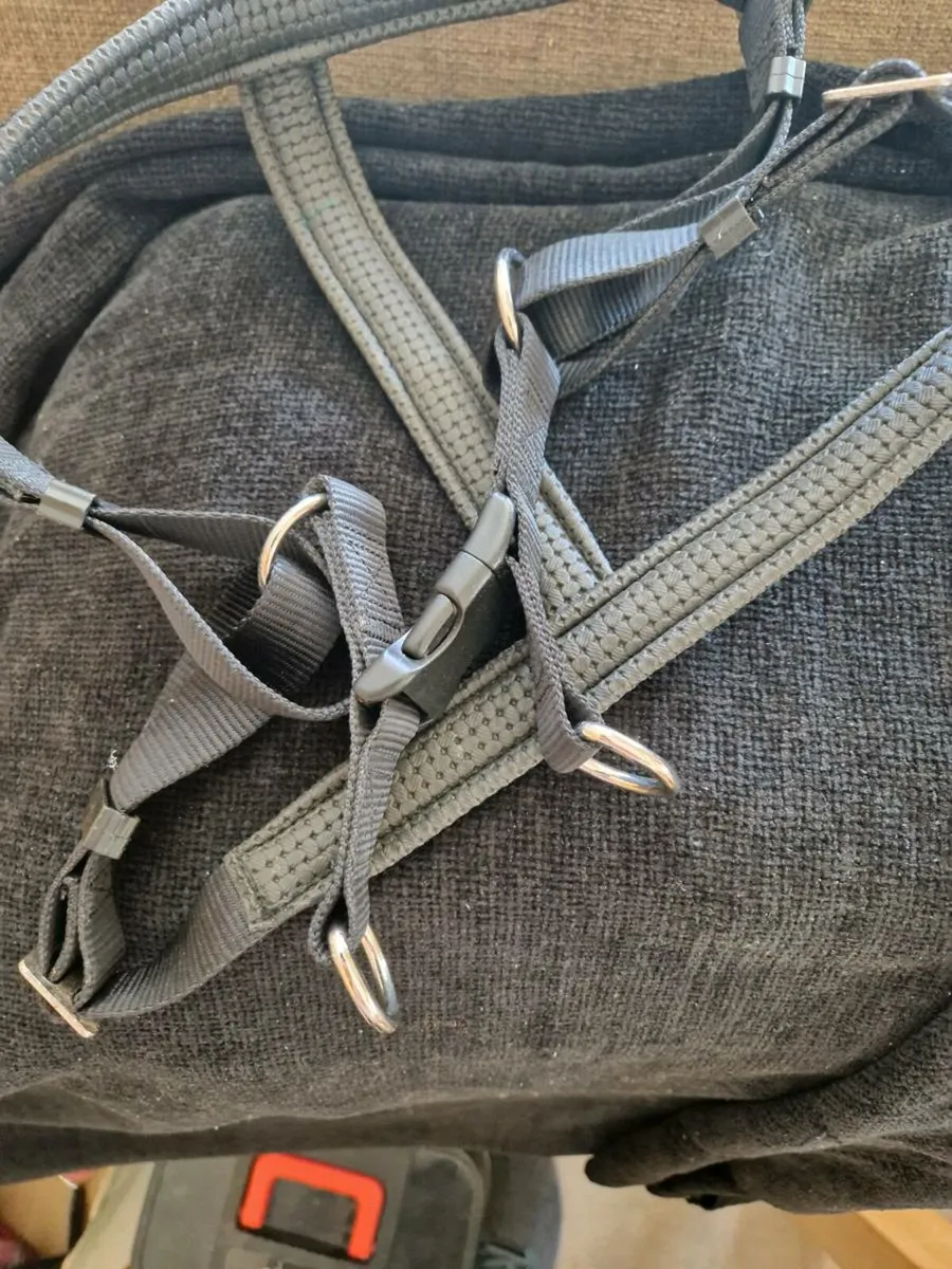 Dog items - Image 2