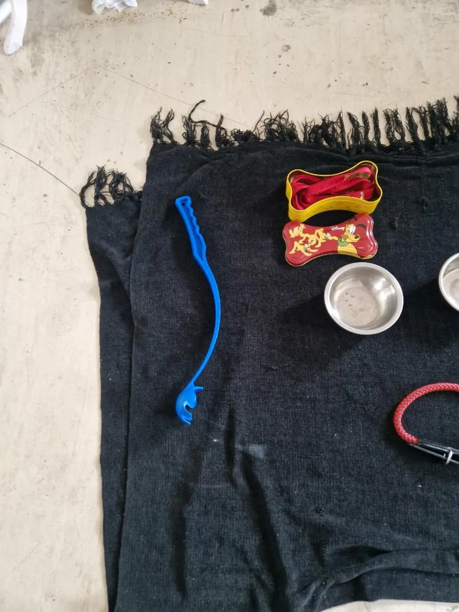 Dog items - Image 3