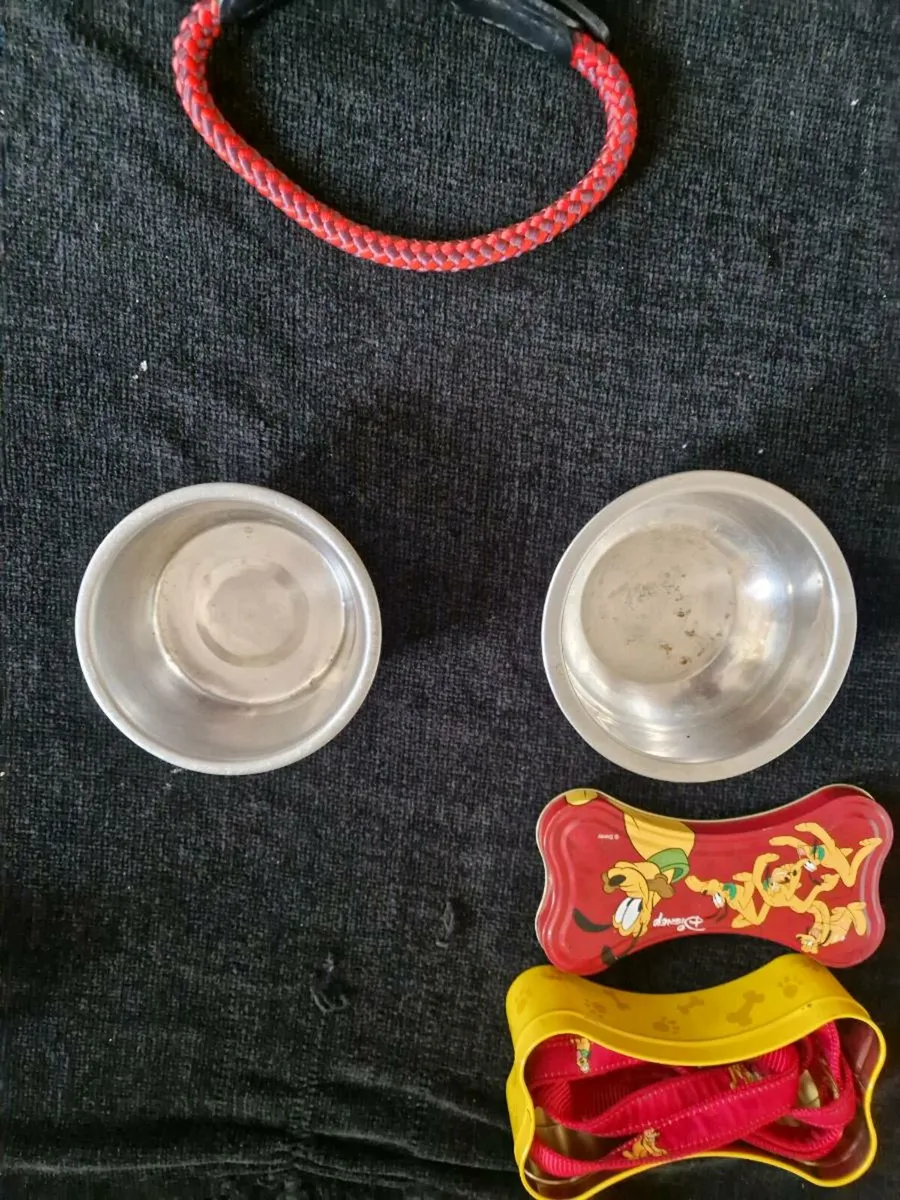Dog items - Image 4