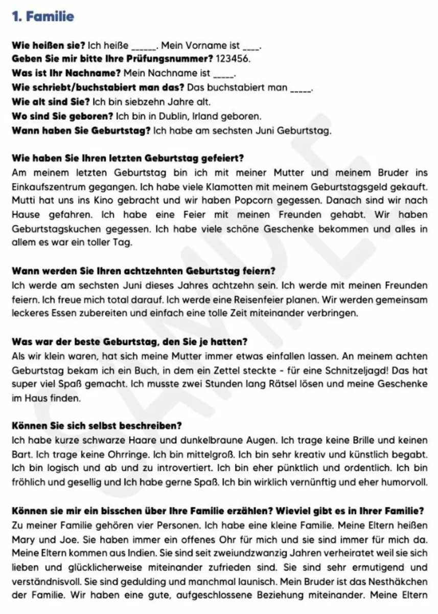 Leaving Cert German Oral Notes - Image 3