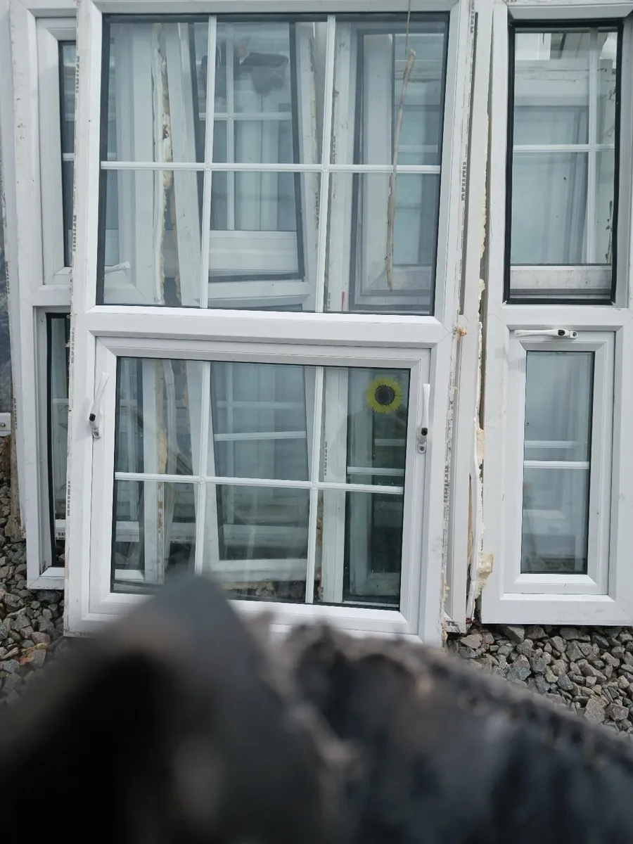 Windows