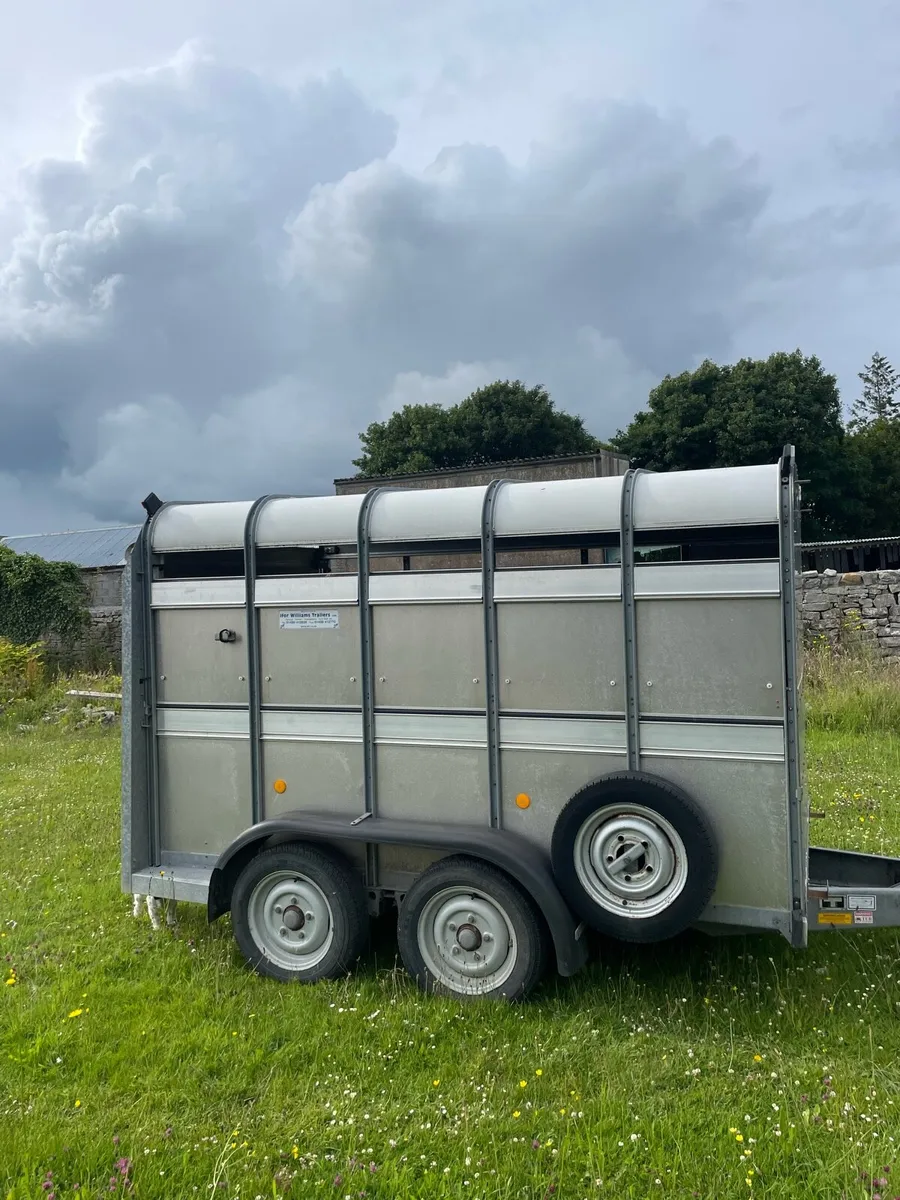 Cattle trailer - Image 2