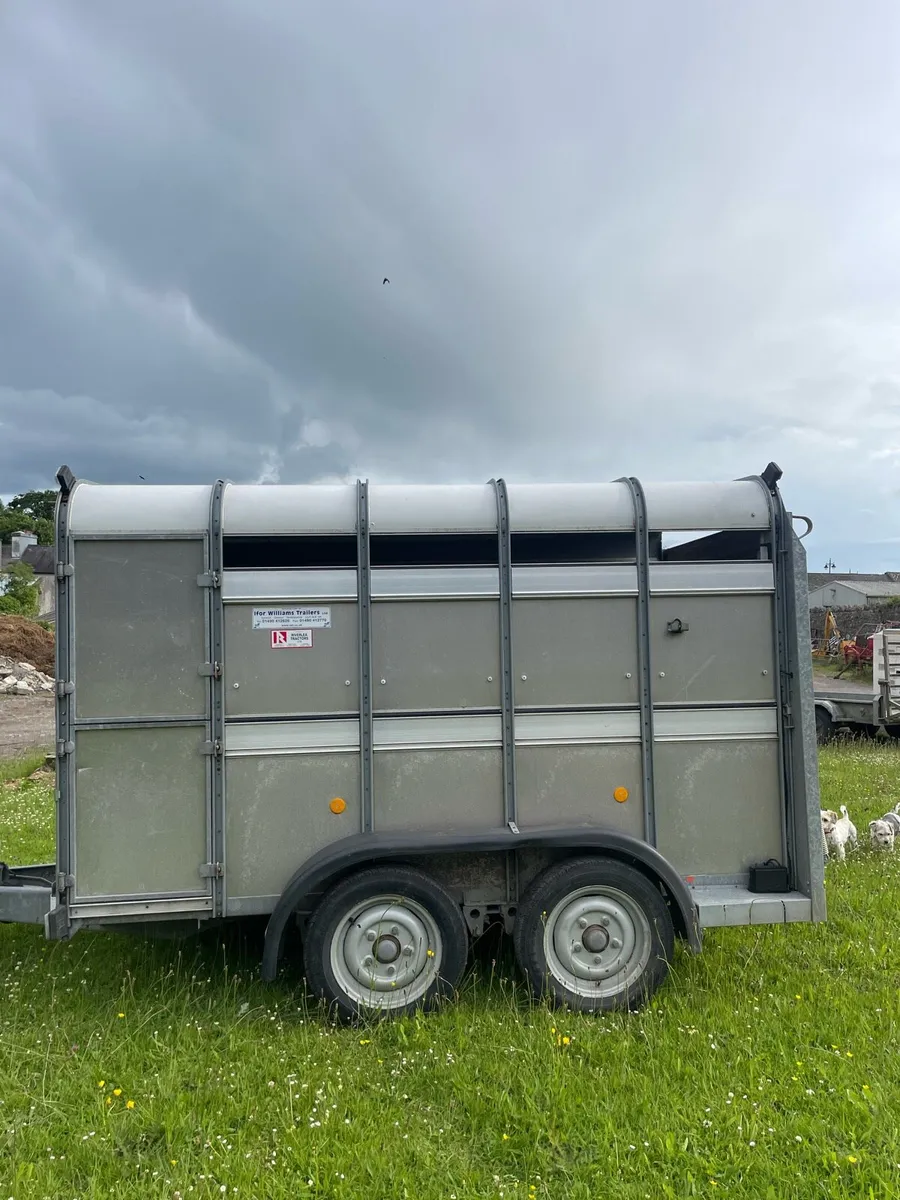Cattle trailer - Image 3