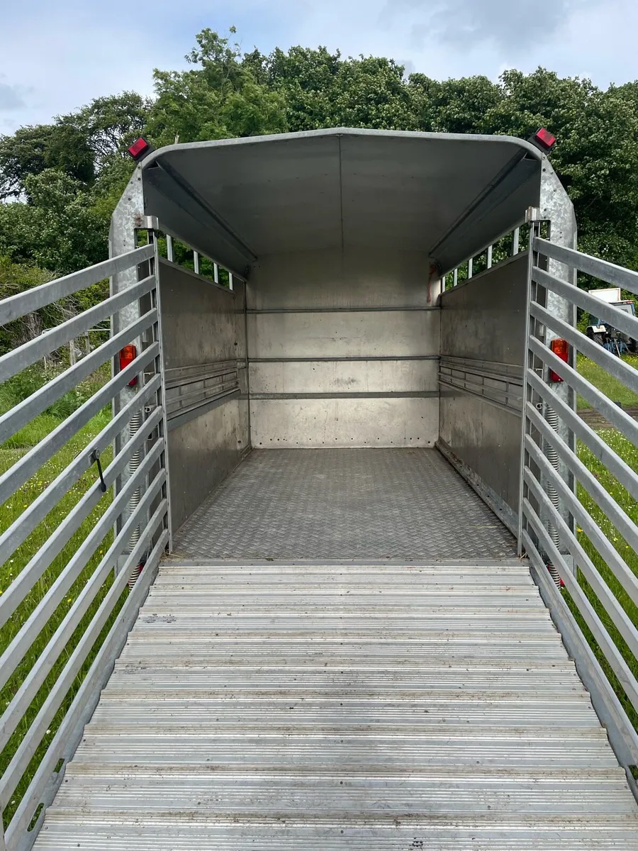 Cattle trailer - Image 4